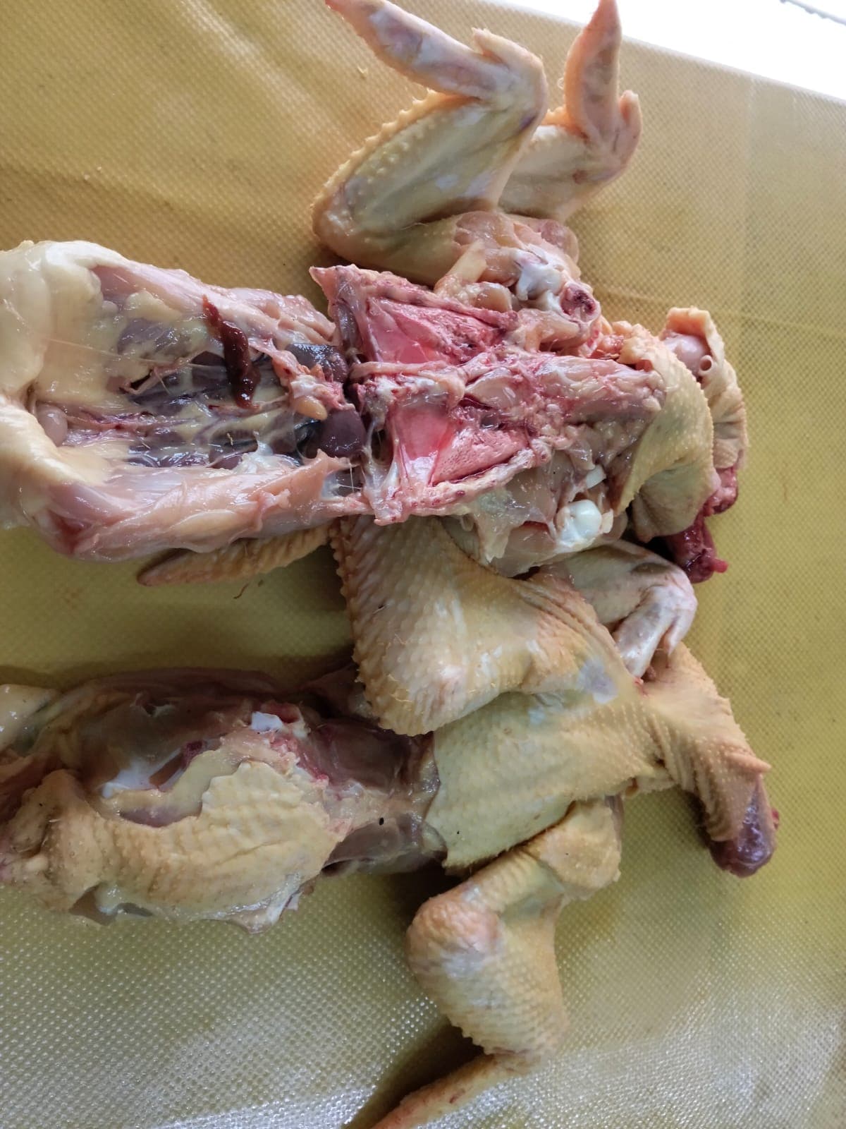 Retazo con rabadilla